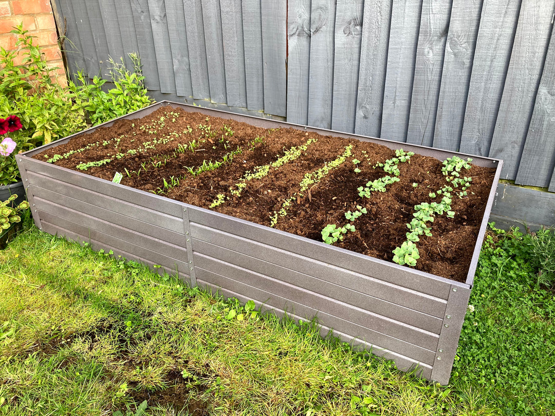 Raised beds