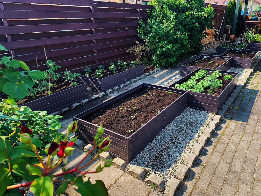 Raised beds