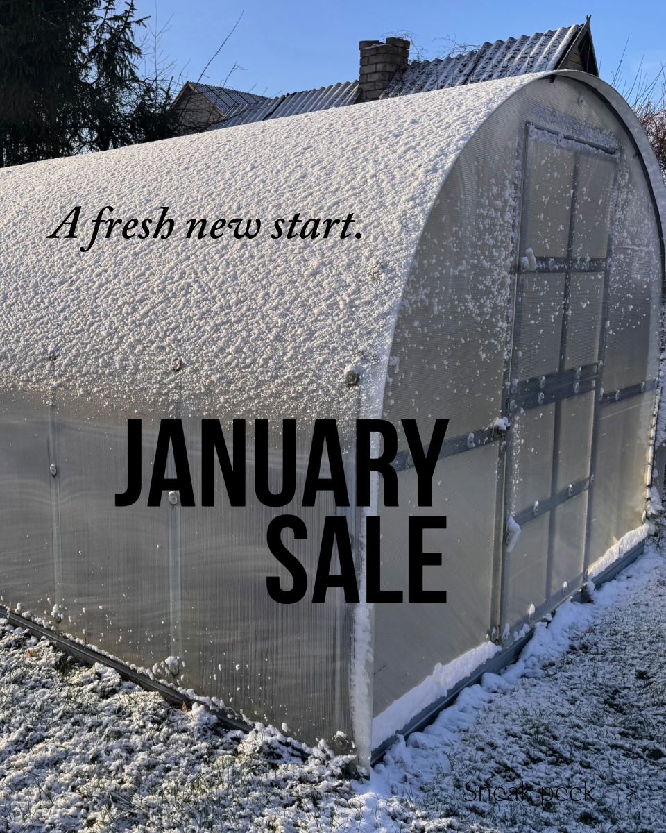 January Sale