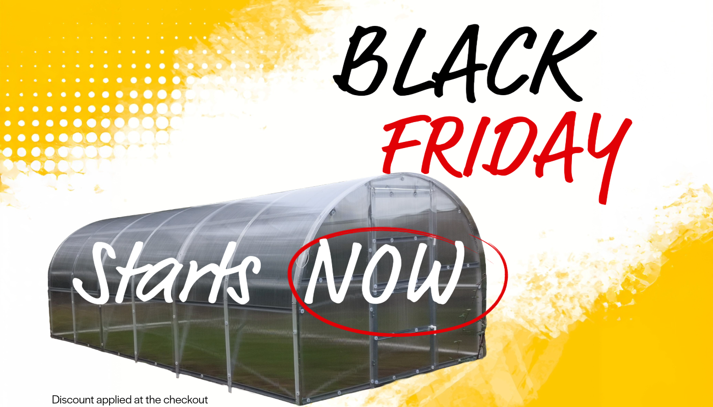 Black Friday Savings