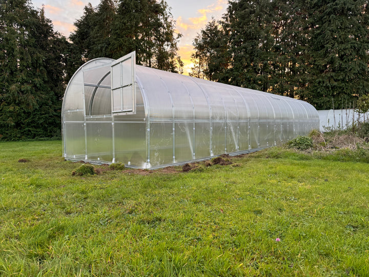 Polyeco Classic 3m x 12m 6mm cover