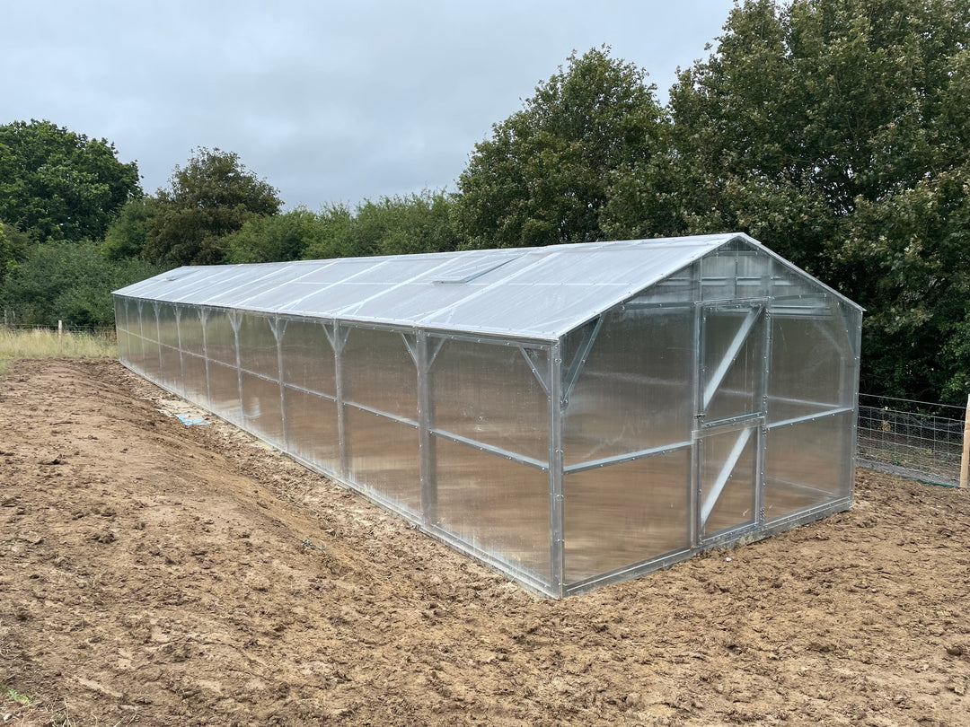 Polyeco Ace 4