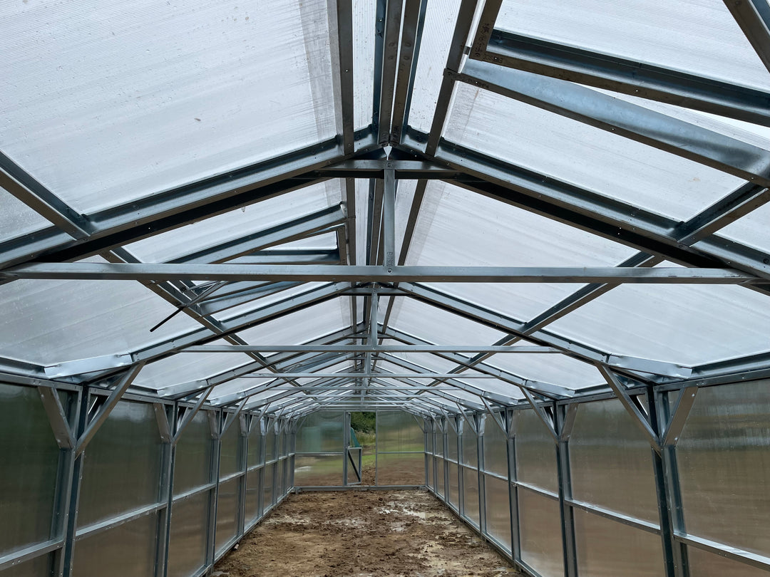 Polyeco Ace 4