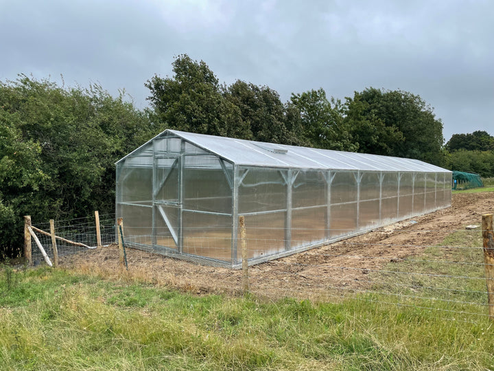 Polyeco Ace 4
