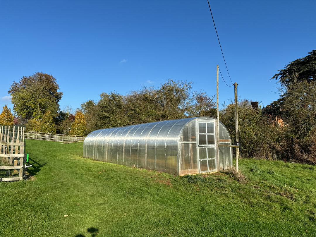 Polyeco Classic 3m x 10m 6mm cover