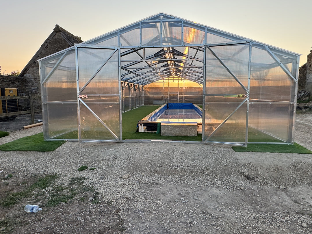 Polyeco Ace 6