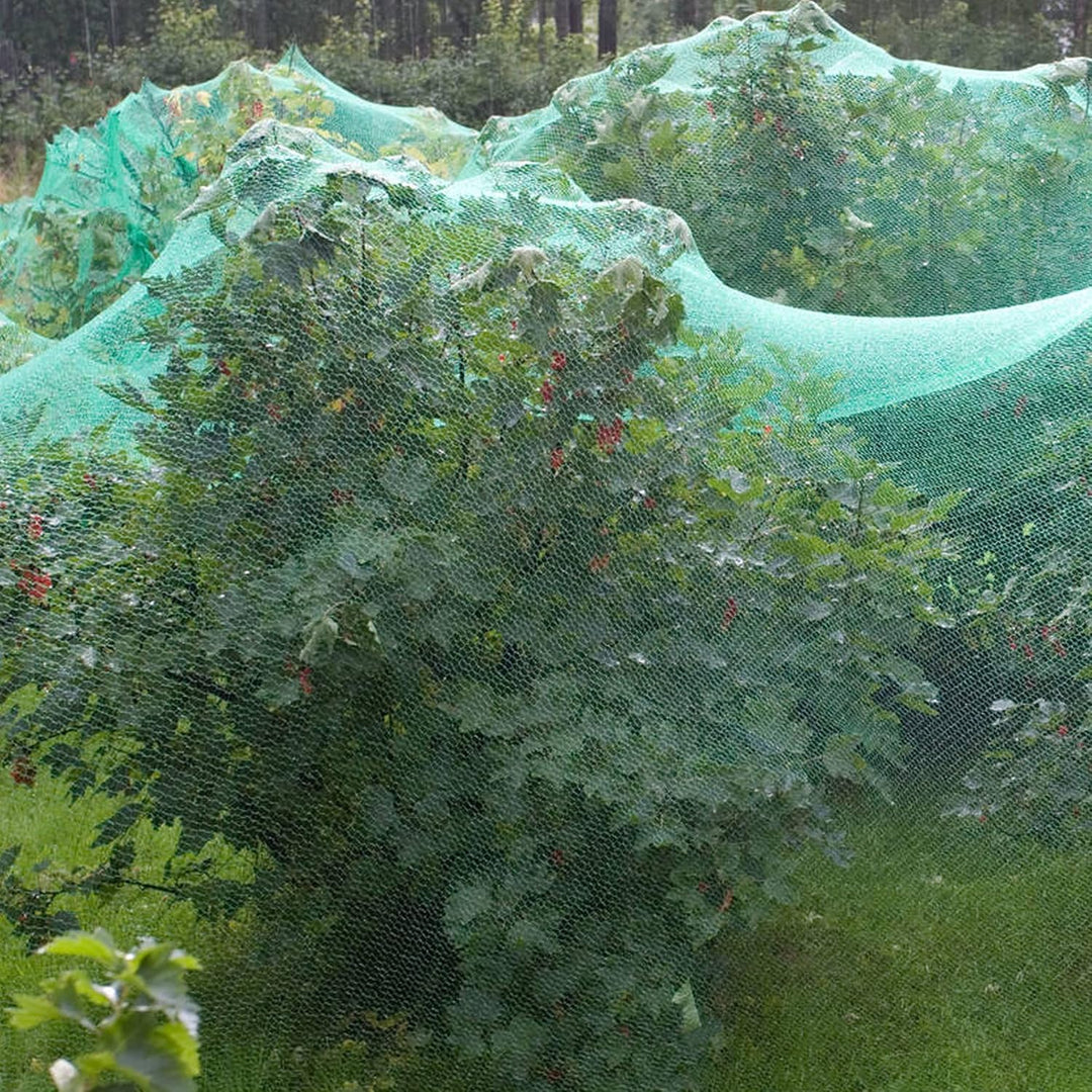 Anti-Bird Netting - Green / 4M x 10M