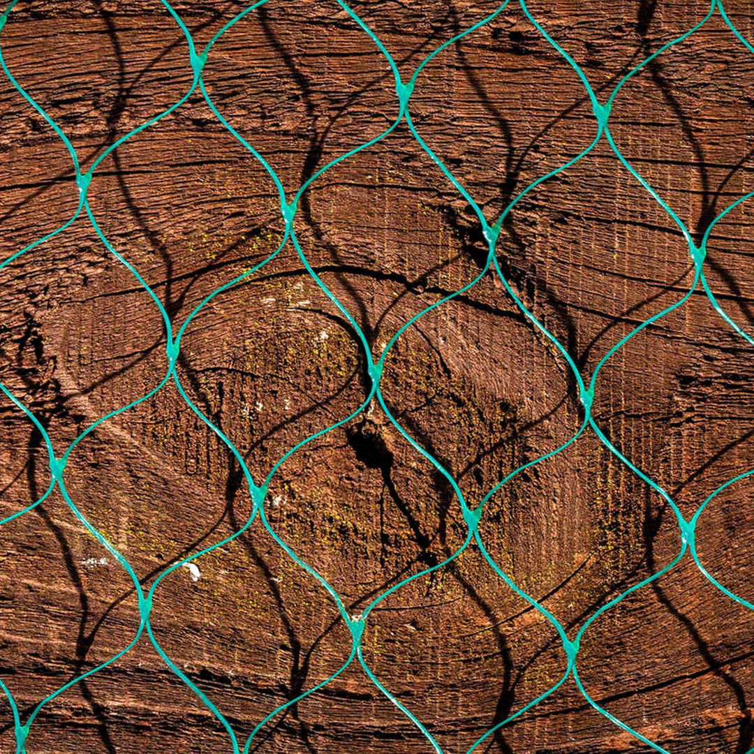 Anti-Bird Netting - Green / 4M x 10M
