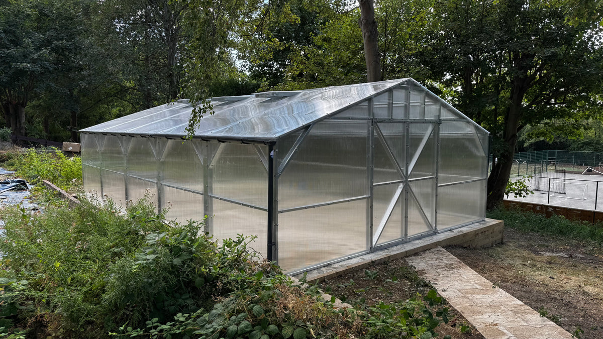 Polyeco Ace 6m x 10m greenhouse built on the concrete base 