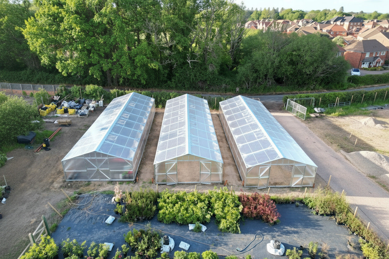 Three large greenhouses arranged side by side in an outdoor nursery or garden center, with plants, fencing, trees, and a residential neighborhood visible in the background.