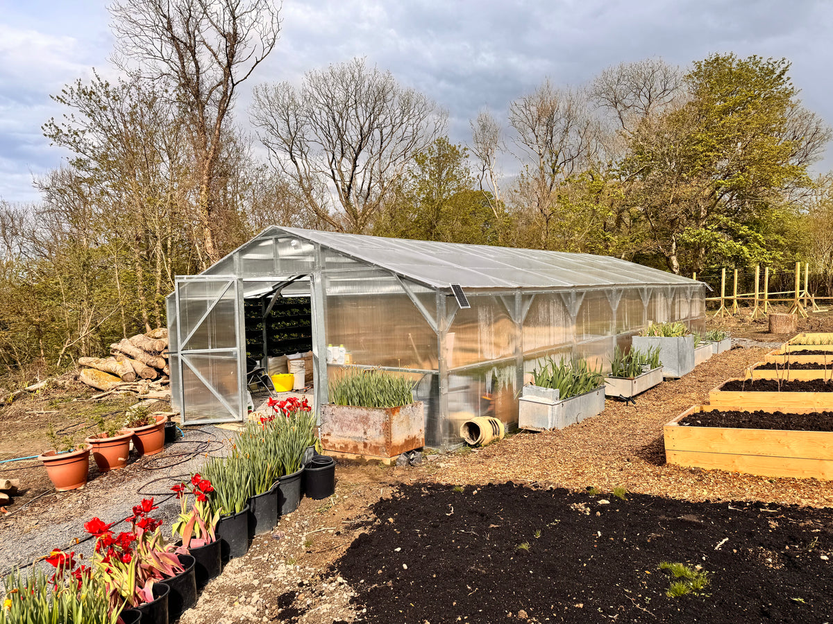 A large greenhouse with a transparent plastic cover and metal frame stands in a garden setting, surrounded by potted red flowers, growing plants, raised garden beds, and trees under a cloudy sky.