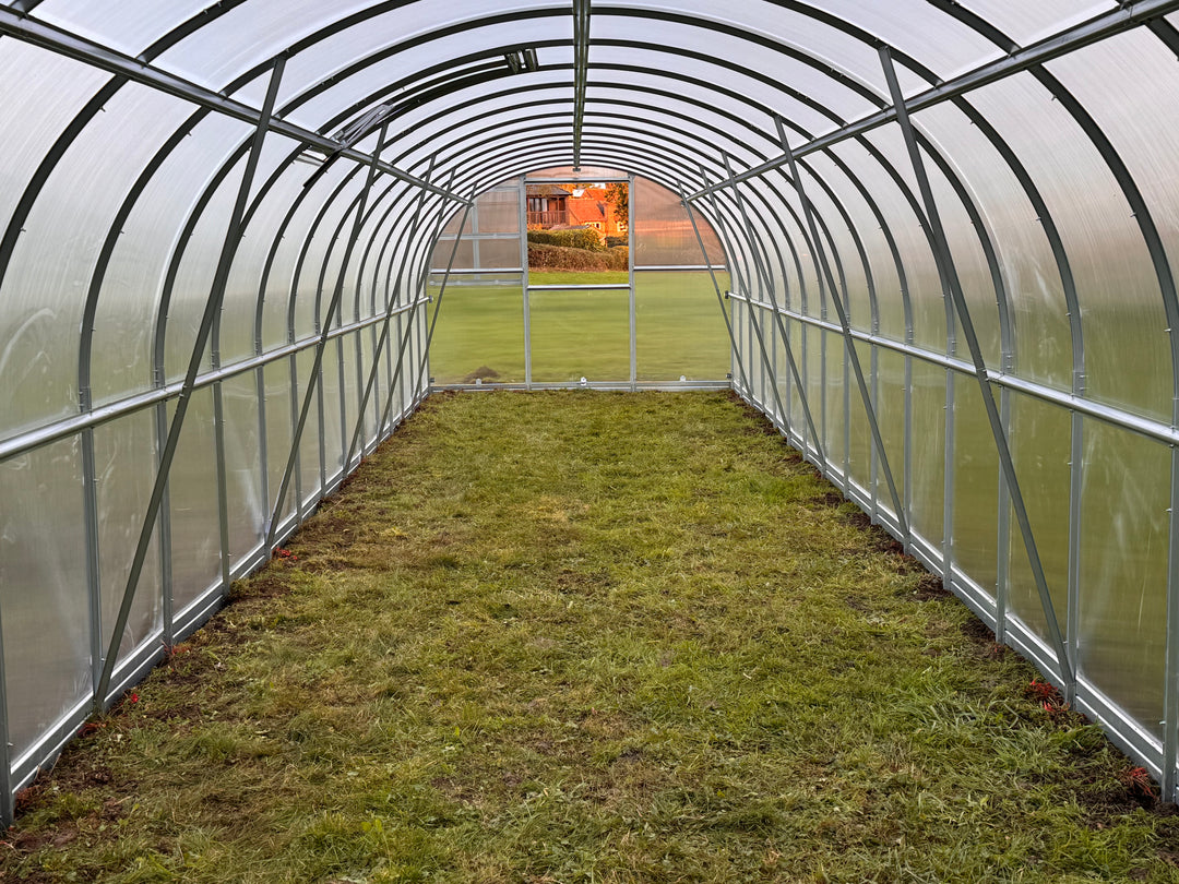 Greenhouse interior with grassy floor and steel frame