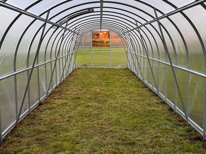 Greenhouse interior with grassy floor and steel frame