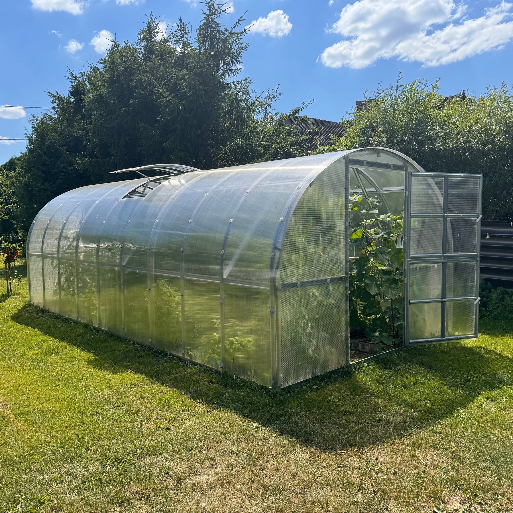 Polyeco Classic polytunnel style greenhouse with transparent panels and a metal frame, situated on a grassy backyard lawn under a blue sky with clouds.